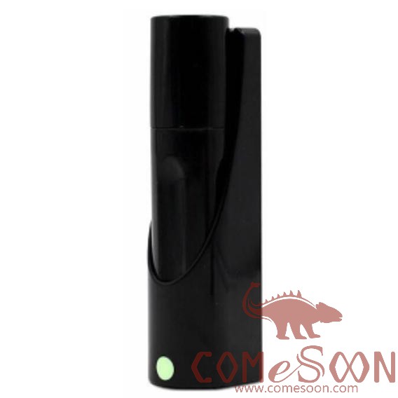 Flash Light