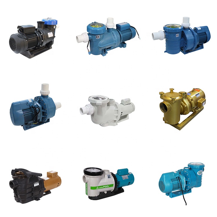 Swimming Pool Pump(Customized Products)