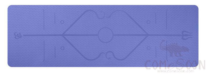 Yoga Mat -Tpe- Violet - Asana Guide Line - Single Layer