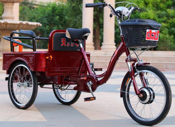 Recreational Tricycle 195*110*65cm Battery: 250w, 48v, 10a
