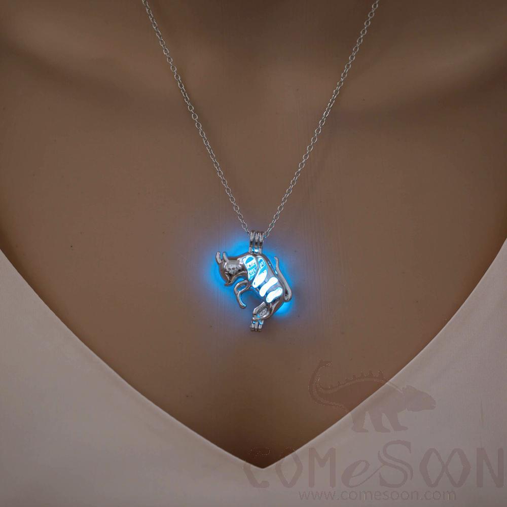 Necklace / Jewelry           Ny710