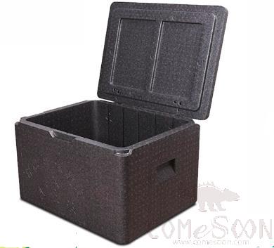 Grey Insulated Box, with Electrophoretic Hinges, PP, 62L