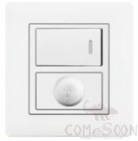 Half 2 Gang Switch+ Dimmer Switch