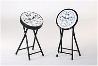 Fcr49845