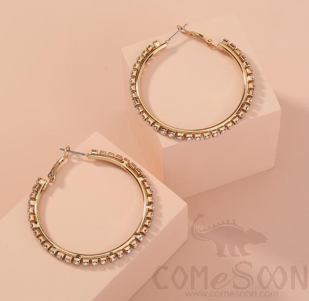 Earring / Dangler / Eardrop / Jewelry Ne941