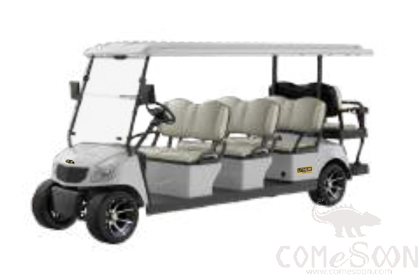 8 Seats Golf Cart, 5kw, 51.2V 150Ah(Customized Good Quality)