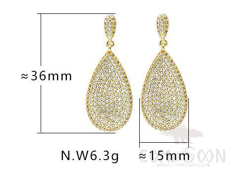 Earring / Dangler / Eardrop / Jewelry
Xye103568