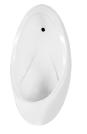 Wall-mounted urinal
