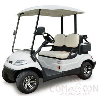 Golf Cart -2 Seat -48v /4kw-(80-90)km  Buggy