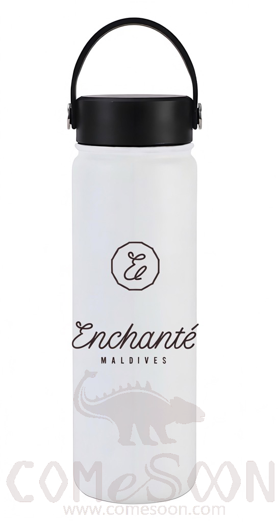 S/s Water Bottle with Customized Two Colors Logo, 22 oz