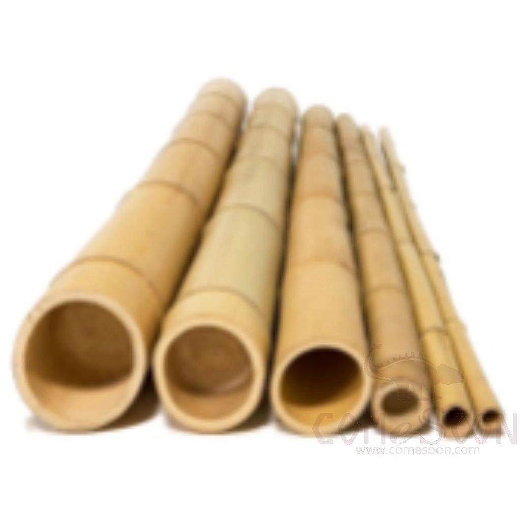 Bamboo Pole, 5cm
