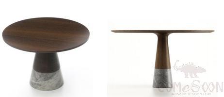 Echo Coffee Table