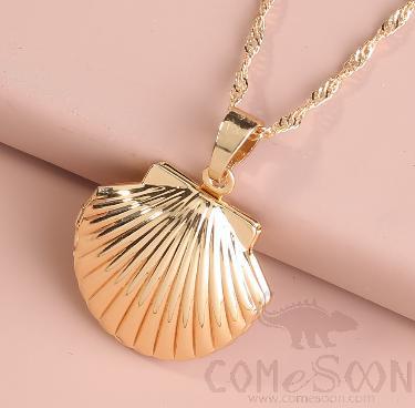 Necklace / Jewelry Nz697