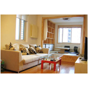 Living Room Sofa