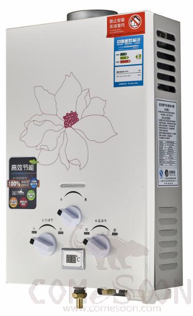 Flue Exhaust
Gas Water
Heater-10L