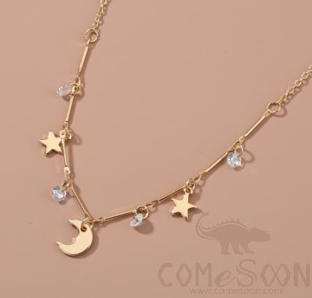 Necklace / Jewelry Nz747