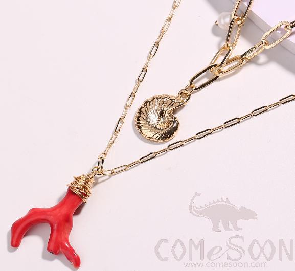 Necklace / Jewelry Nz410 product image
