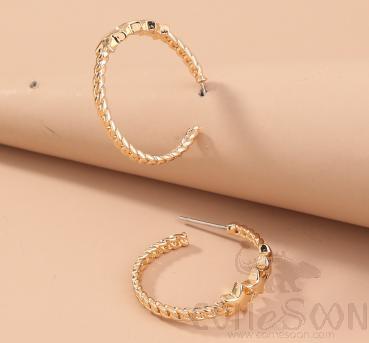 Earring / Dangler / Eardrop / Jewelry Ne792