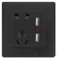 2 Usb and 5pin Socket