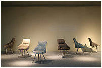 Dining Chair