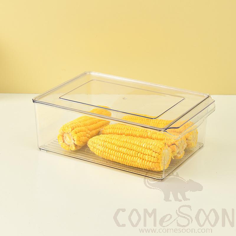 Food Storage Tray-
L30*W20*H10.5 cm, Pet