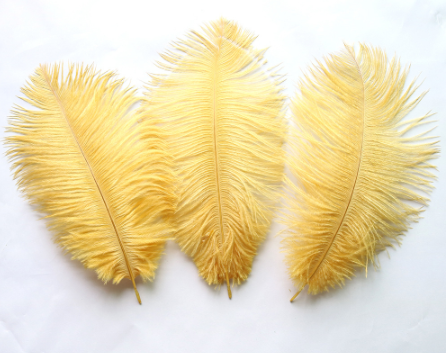 Gold Feather, Ostrich Hair, Gold, 30-35cm