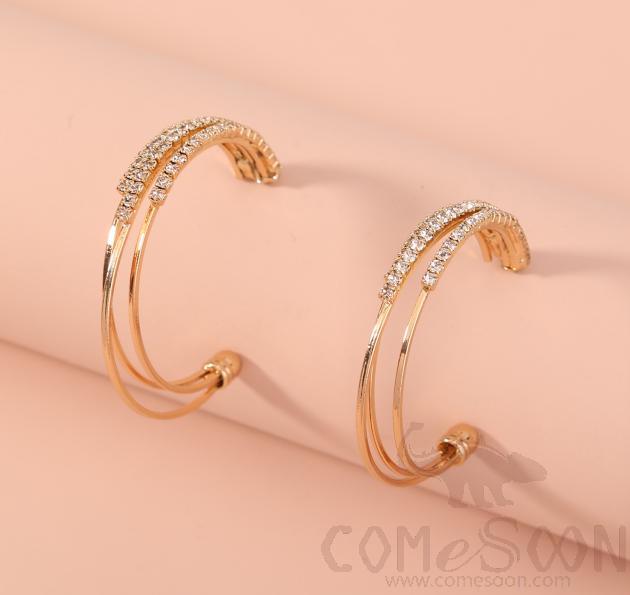 Earring / Dangler / Eardrop / Jewelry Ne999