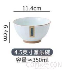 Ice Spring Series 4.5" Bowl product image