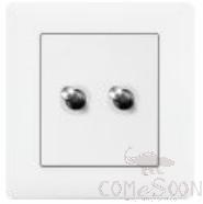 2 Gang 2 Way Lever Switch