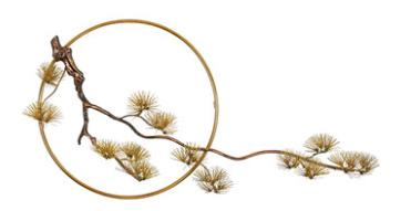 Decoration