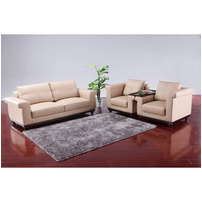 Leather Modern Sofa