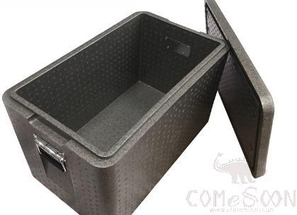 Grey Insulated Box with Nickel-Plated Handle, PP, 50L
