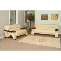 Living Room Sofa