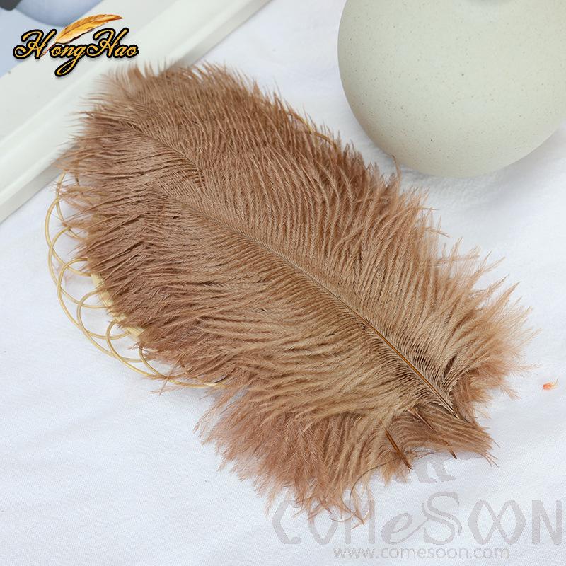 Colored Ostrich Feathers, L15-20 cm