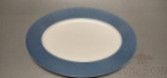 Water Wave Series - 16" Oval Plate product image