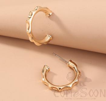 Earring / Dangler / Eardrop / Jewelry Ne779