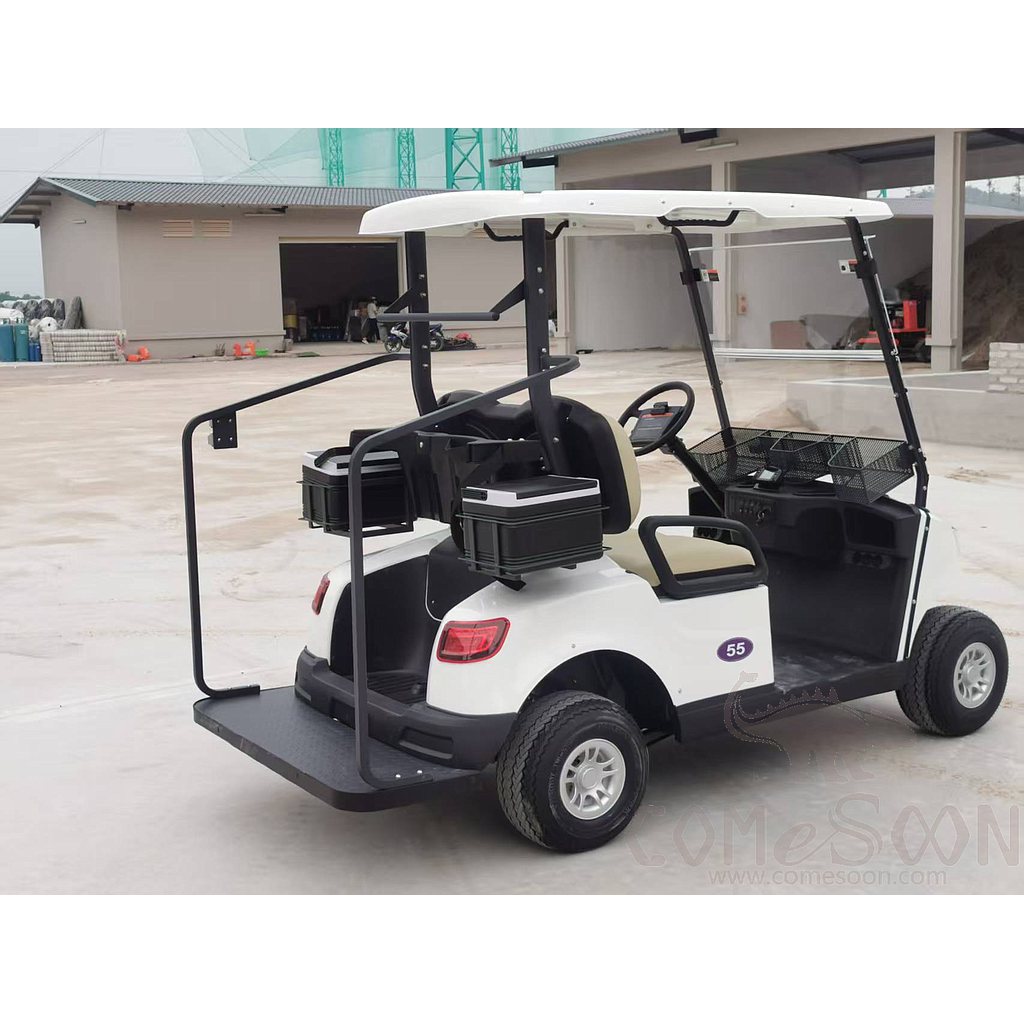 2 Seats Golf Cart W/Rear Pedal, 5kw, 48v105Ah LFP Battery(Customized Good Quality)