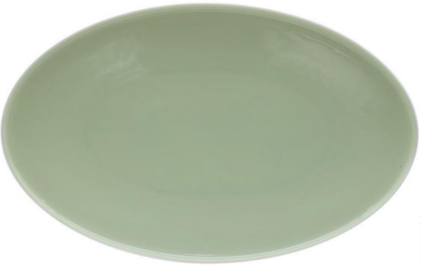 G157 Series 16" Fish Plate - Green