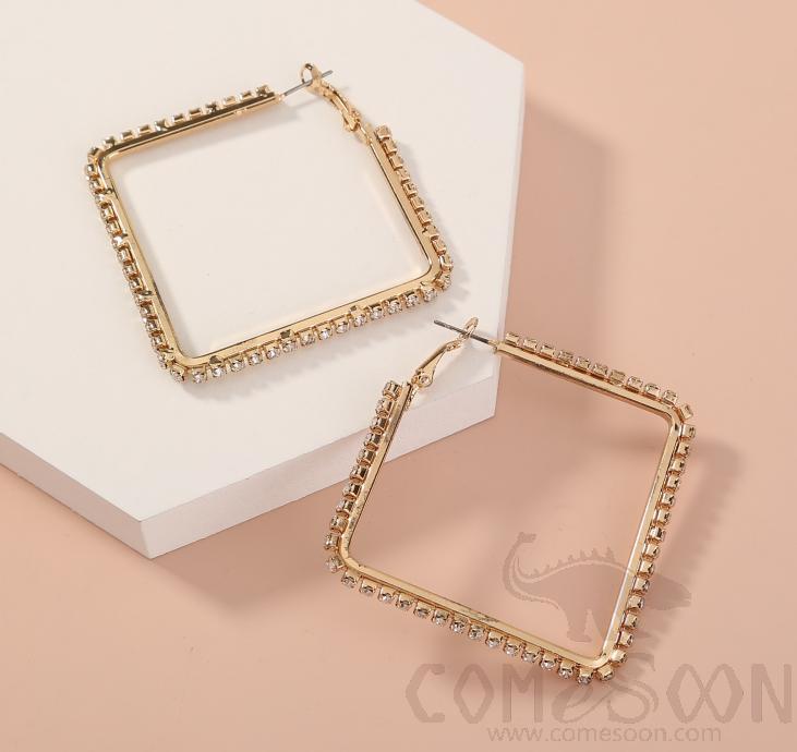 Earring / Dangler / Eardrop / Jewelry Ne942
