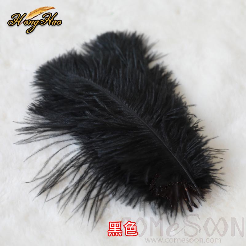 Colored Ostrich Feathers, L15-20 cm