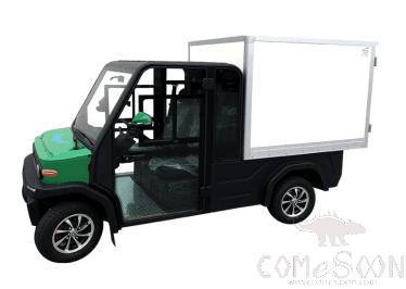 Truck - Totally Enclosed - Lithium Battery - 2000L - Mileage(1000km) - Double Door Design  Buggy