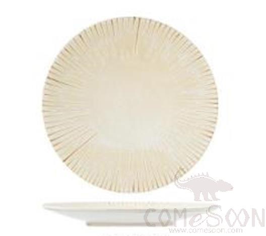 Orion Series 10.75" New Dish, Ø27.6*H4.2 cm product image