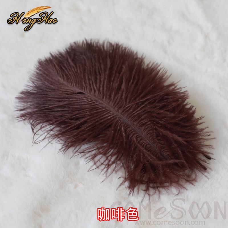 Colored Ostrich Feathers, L15-20 cm
