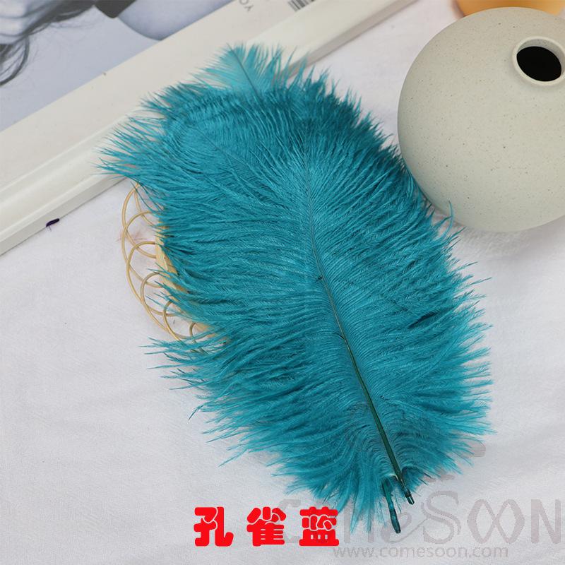 Colored Ostrich Feathers, L15-20 cm