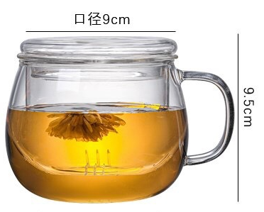 Glass Cup with Strainer, 500ML
