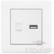 Tel+ Usb Socket