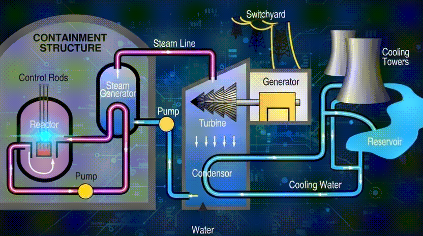 Diagram showing the retrospective environmental clearance process