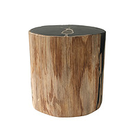 Wood Fossil Polished Stone Pier