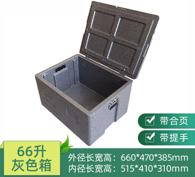 Epp Thermo Box W/ Chrome Plated Carrying Handle & Electrophoretic Hinge, 66L