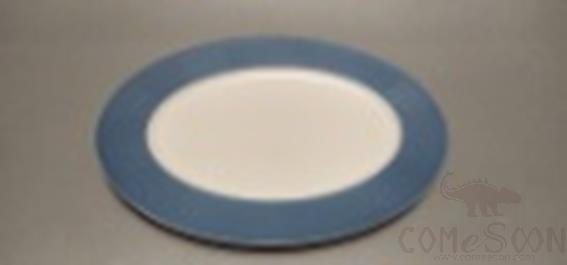 Water Wave Series - 13" Oval Plate product image